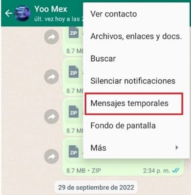 Mensajes temporales WhatsApp